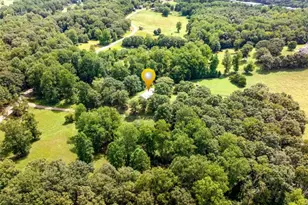 6223 Hulsey Rd, Clermont, GA 30527 - Photo 48