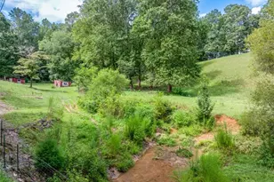 6223 Hulsey Rd, Clermont, GA 30527 - Photo 14