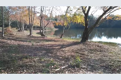 9720 Poole Road, Villa Rica, GA 30180 - Photo 62