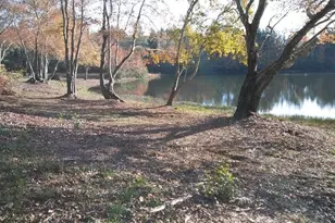 9720 Poole Rd, Villa Rica, GA 30180 - Photo 62