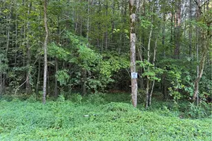 0 W Price Creek Rd, Talking Rock, GA 30175 - Photo 1