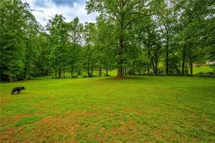 165 Porter Springs Rd, Dahlonega, GA 30533 - Photo 138