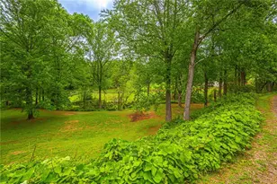 165 Porter Springs Rd, Dahlonega, GA 30533 - Photo 10