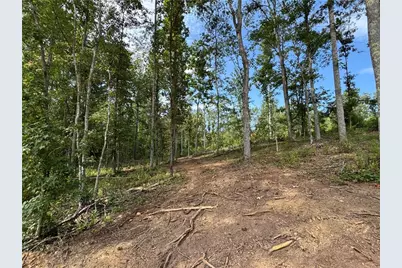 262 Corinth Five Points Road, Buchanan, GA 30113 - Photo 48