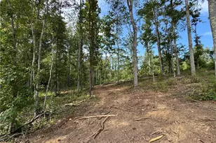 262 Corinth-Five Points Rd, Buchanan, GA 30113 - Photo 48