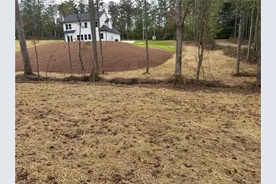 262 Corinth Five Points Road, Buchanan, GA 30113 - Photo 46