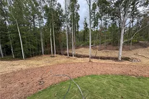 262 Corinth-Five Points Rd, Buchanan, GA 30113 - Photo 44