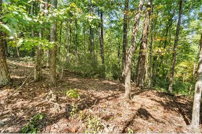 288 Blazingstar Trail, Big Canoe, GA 30143 - Photo 4