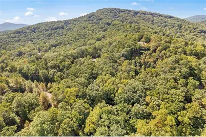 288 Blazingstar Trail, Big Canoe, GA 30143 - Photo 12