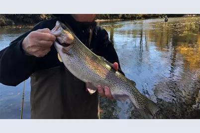 33 Spruce Drive, Suches, GA 30572 - Photo 32