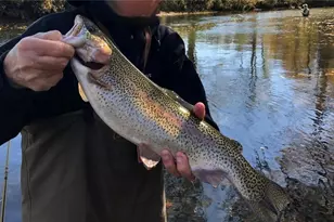 33 Spruce Drive, Suches, GA 30572 - Photo 32