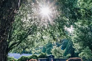 5326 Windridge Pkwy, Gainesville, GA 30507 - Photo 96