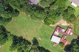 234 Dh Green Rd, Demorest, GA 30535 - Photo 54