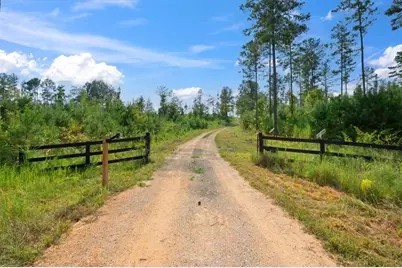 664 Wiggins Road, Lyerly, GA 30730 - Photo 52