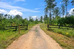 664 Wiggins Rd, Lyerly, GA 30730 - Photo 52