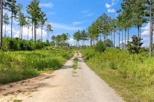 664 Wiggins Rd, Lyerly, GA 30730 - Photo 54