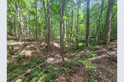 0 Clark Drive, Ellenwood, GA 30294 - Photo 28
