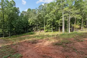 2041 Long Branch Rd, Dahlonega, GA 30533 - Photo 1