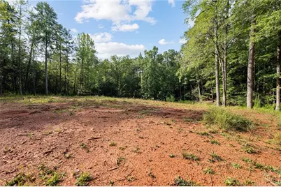 2041 Long Branch Road, Dahlonega, GA 30533 - Photo 2