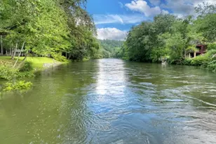 125 Blackberry Dr, Mineral Bluff, GA 30559 - Photo 40