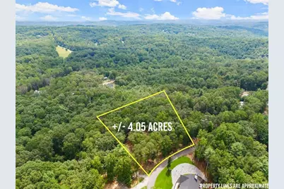 486 Laurel Circle, Dahlonega, GA 30533 - Photo 48