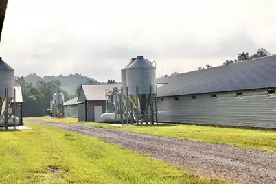 993 Sexton Road, Resaca, GA 30735 - Photo 4