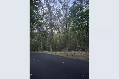 110 Siddiqui Court, Waleska, GA 30183 - Photo 6