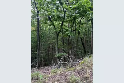 110 Siddiqui Court, Waleska, GA 30183 - Photo 2