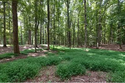 735 Hammock Lane, Milton, GA 30004 - Photo 20