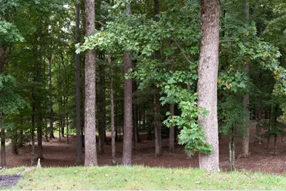 735 Hammock Lane, Milton, GA 30004 - Photo 10