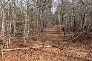 850 Bethel Church Rd SE, Silver Creek, GA 30173 - Photo 70