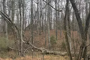 850 Bethel Church Rd SE, Silver Creek, GA 30173 - Photo 82