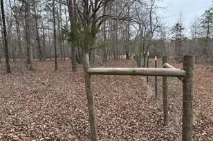 850 Bethel Church Rd SE, Silver Creek, GA 30173 - Photo 104