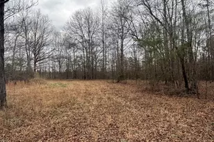 850 Bethel Church Rd SE, Silver Creek, GA 30173 - Photo 88