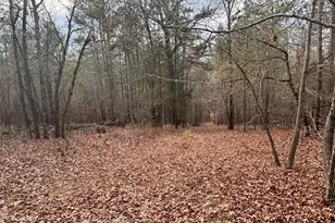 850 Bethel Church Rd SE, Silver Creek, GA 30173 - Photo 68