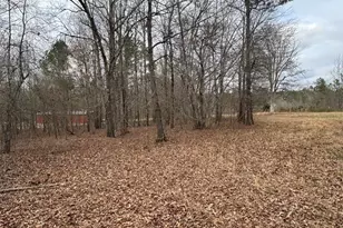 850 Bethel Church Rd SE, Silver Creek, GA 30173 - Photo 58