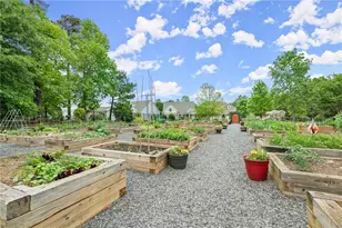 3133 Scarlet Oak Ln, Gainesville, GA 30504 - Photo 20