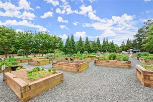 3133 Scarlet Oak Ln, Gainesville, GA 30504 - Photo 18