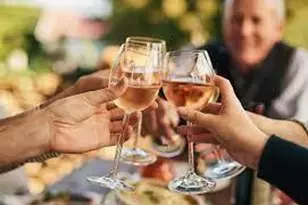 1024 Bear Paw Ridge, Dahlonega, GA 30533 - Photo 24