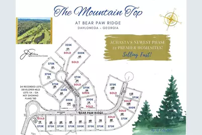 1024 Bear Paw Ridge, Dahlonega, GA 30533 - Photo 6