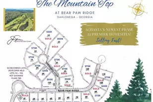 1024 Bear Paw Ridge, Dahlonega, GA 30533 - Photo 6