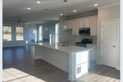 2414 Anhinga Drive, Loganville, GA 30052 - Photo 2