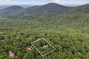 188 Tea Berry Ln, Jasper, GA 30143 - Photo 48