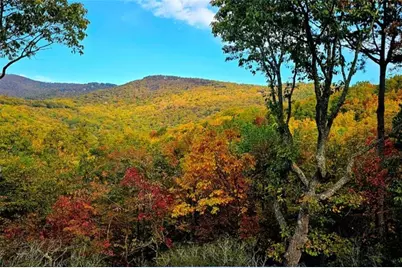 188 Tea Berry Lane, Jasper, GA 30143 - Photo 8