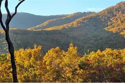 188 Tea Berry Lane, Jasper, GA 30143 - Photo 12