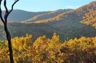 188 Tea Berry Ln, Jasper, GA 30143 - Photo 12