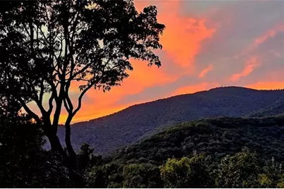 188 Tea Berry Lane, Jasper, GA 30143 - Photo 2