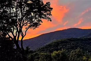 188 Tea Berry Ln, Jasper, GA 30143 - Photo 2