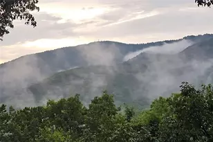 188 Tea Berry Ln, Jasper, GA 30143 - Photo 58