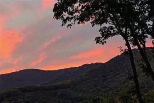 188 Tea Berry Ln, Jasper, GA 30143 - Photo 48